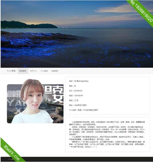 个人博客搭建超轻松！免费模板多样，含多种风格介绍